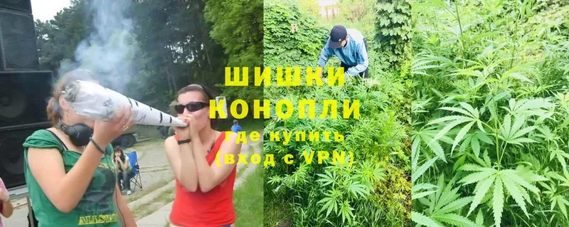 Конопля SATIVA & INDICA  Сосновка 